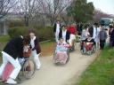 hanami1600-1.jpg
