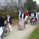 hanami1600-1.jpg