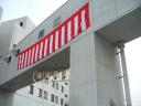 mikoshi4.jpg