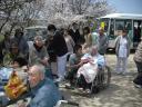 hanami4.jpg